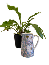 Load image into Gallery viewer, Pimpernel Fine China Jug