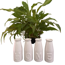 Load image into Gallery viewer, Browse our range of floral shabby chic homewares at Vivre, Nelson NZ