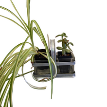 Load image into Gallery viewer, Square Vases in Metal Frame