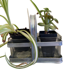 Load image into Gallery viewer, Square Vases in Metal Frame