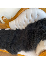 Load image into Gallery viewer, Tibetan Lamb Hide Black (Double)
