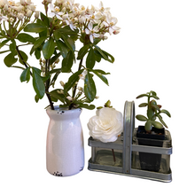 Load image into Gallery viewer, Square Vases in Metal Frame

