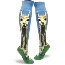 Load image into Gallery viewer, Fun, funky socks in knee high and crew, fabulous styles buy now at Vivre, Nelson, NZ. Sloths, strawberries, poppies, and more

